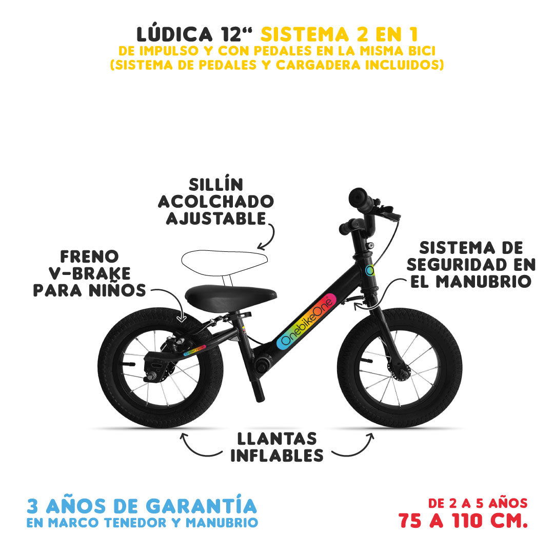 Lúdica 12" 1 a 5 años