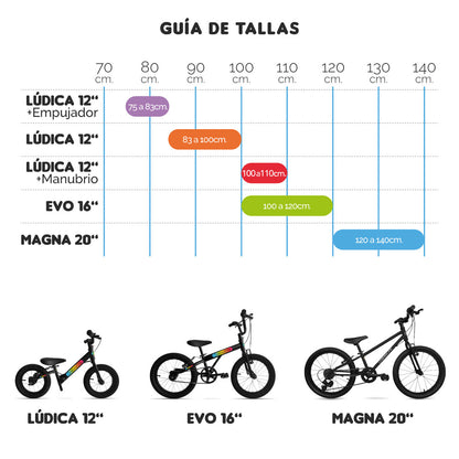 Bicicleta Magna 20 / 6 a 9 años